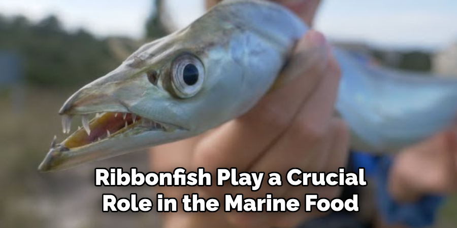 Ribbonfish Play a Crucial
Role in the Marine Food