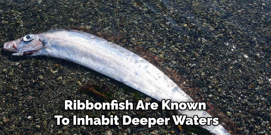 Ribbonfish are known to inhabit deeper waters