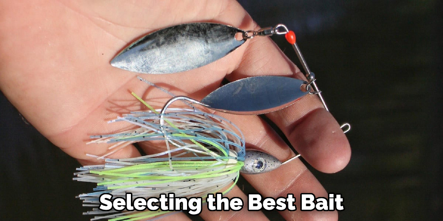 Selecting the Best Bait