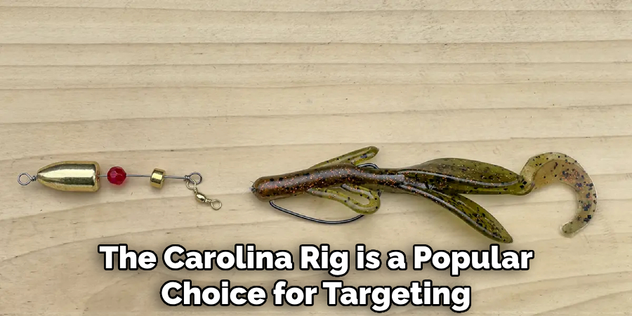 The Carolina Rig is a Popular Choice for Targeting