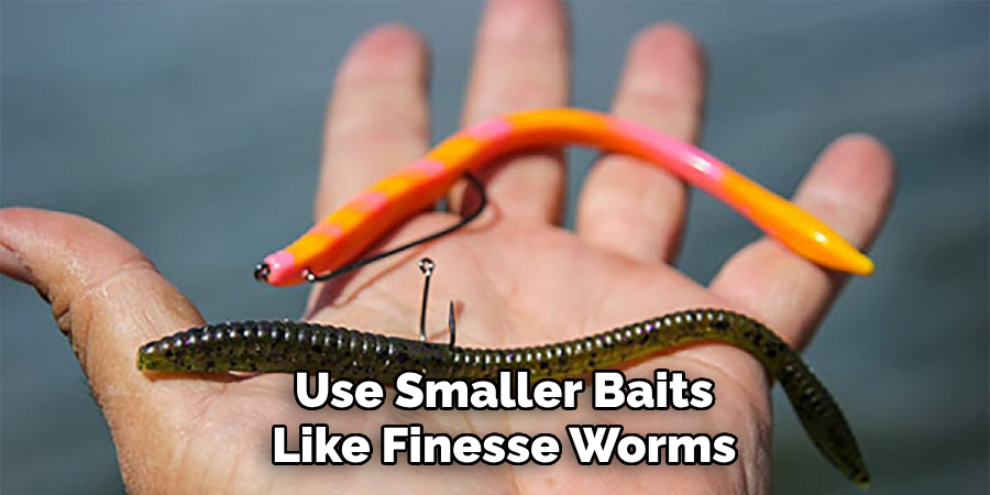Use Smaller Baits
Like Finesse Worms