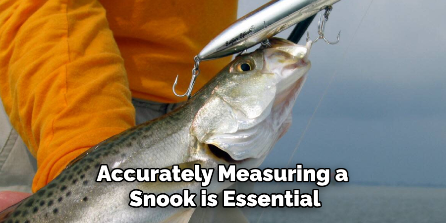 Accurately Measuring a Snook is Essential