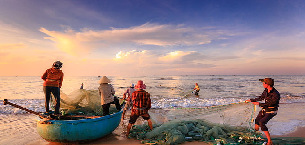 How to Beach Fish