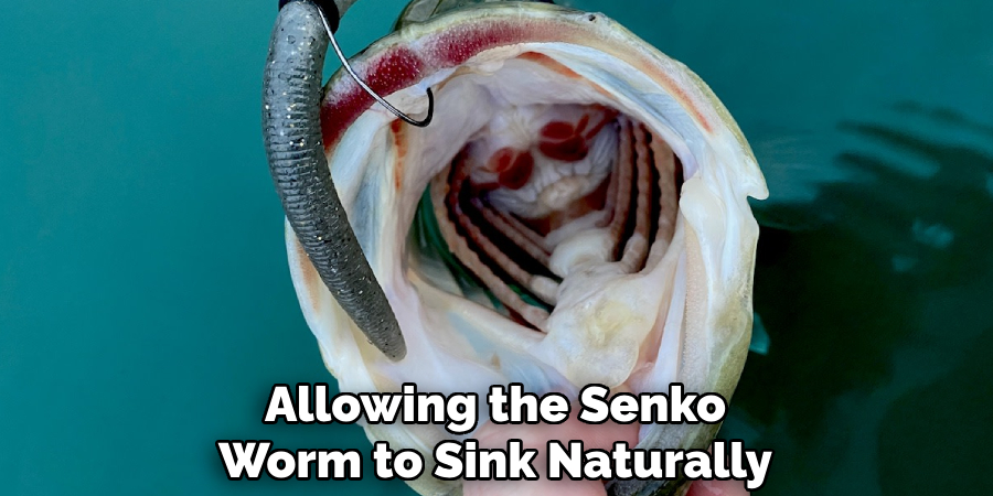 Allowing the Senko
Worm to Sink Naturally