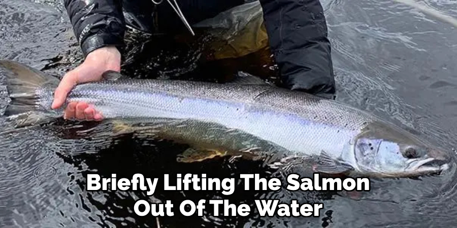 Briefly Lifting The Salmon
Out Of The Water