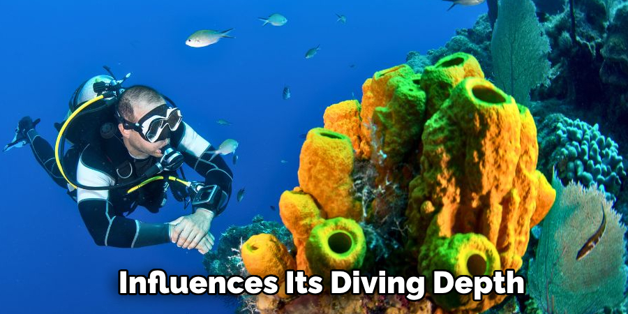 Influences Its Diving Depth