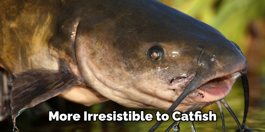 More Irresistible to Catfish