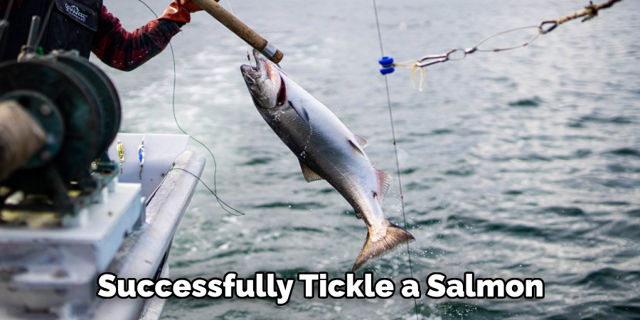 Successfully Tickle a Salmon
