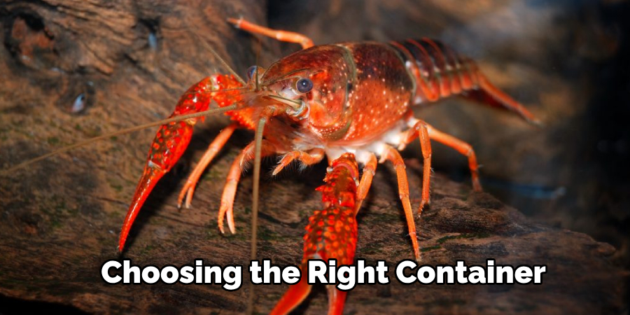 Choosing the Right Container