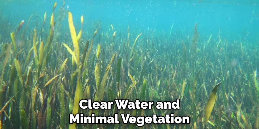 clear water and minimal vegetation