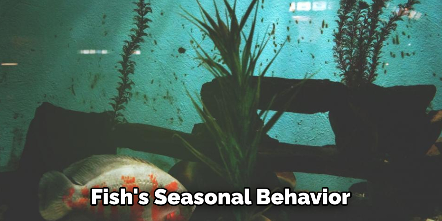 Fish's Seasonal Behavior