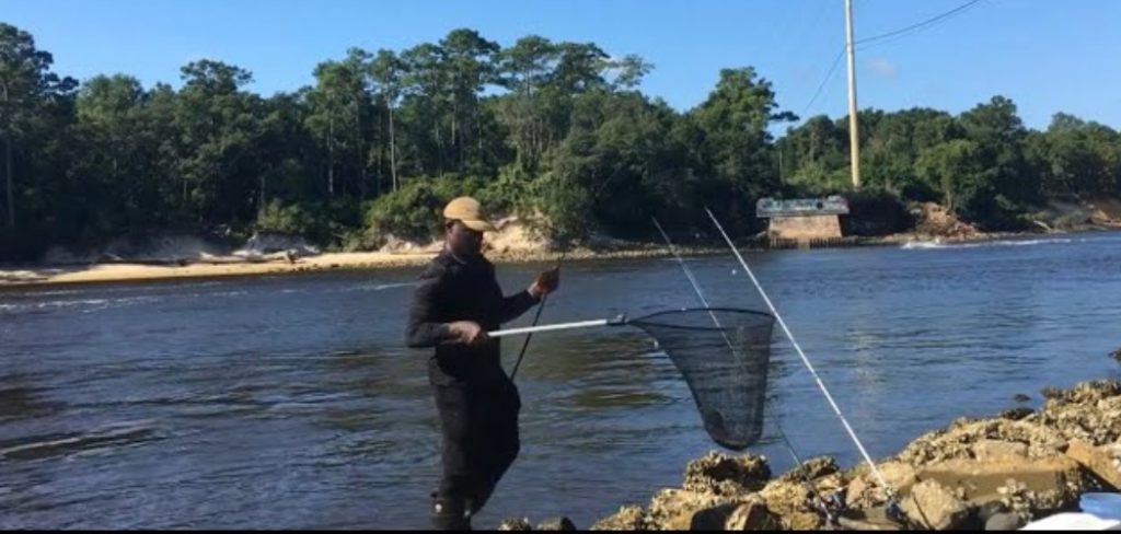 How to Catch Sheepshead from A Pier