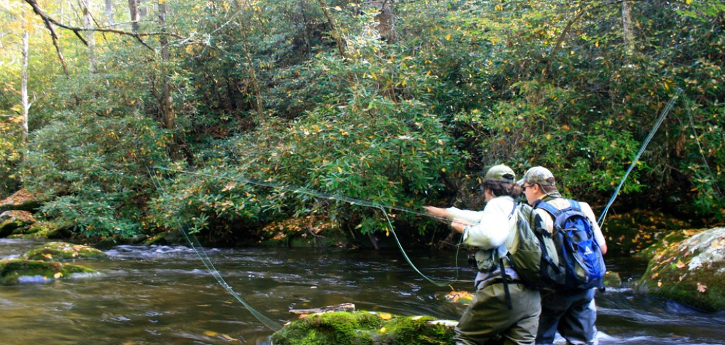 How to Make Trout Bait