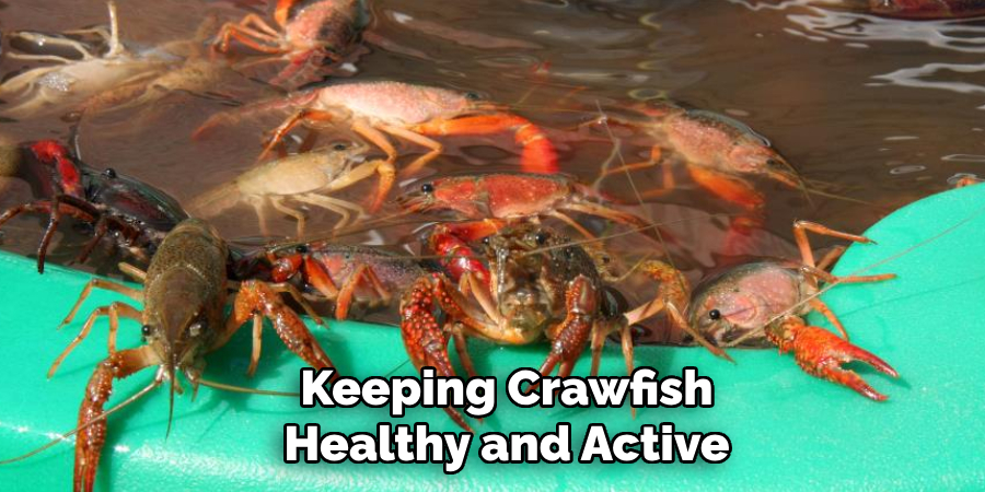 Keeping Crawfish
Healthy and Active