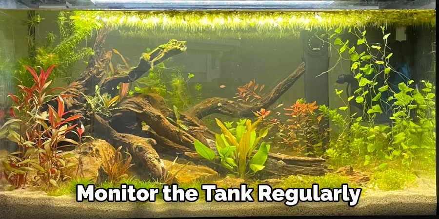 Monitor the Tank Regularly