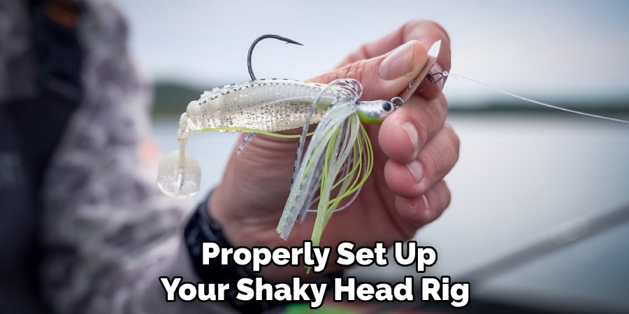 Properly Set Up
Your Shaky Head Rig