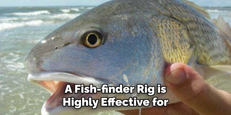 A Fish-finder Rig is Highly Effective for