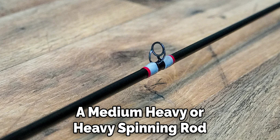 A medium-heavy or heavy spinning rod