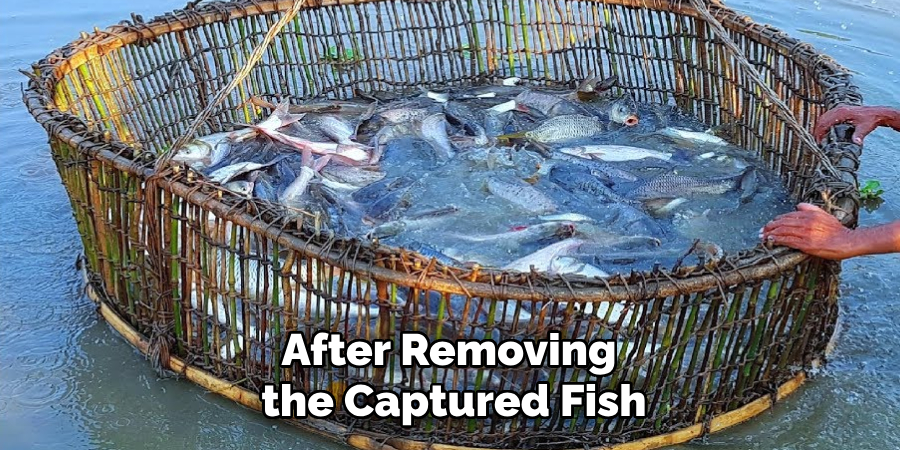 After Removing the Captured Fish
