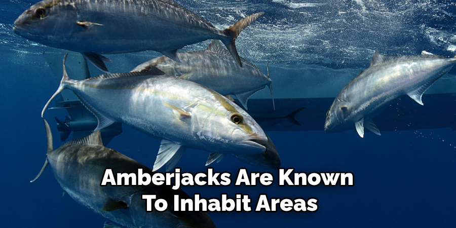 Amberjacks Are Known To Inhabit Areas