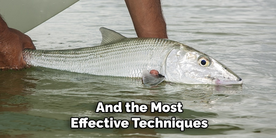 And the Most Effective Techniques