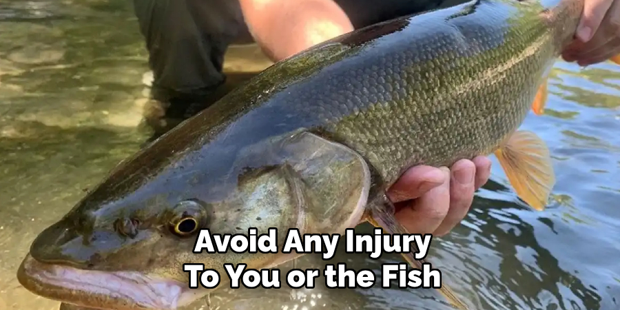 Avoid Any Injury To You or the Fish