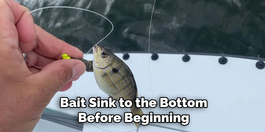 Bait Sink to the Bottom Before Beginning