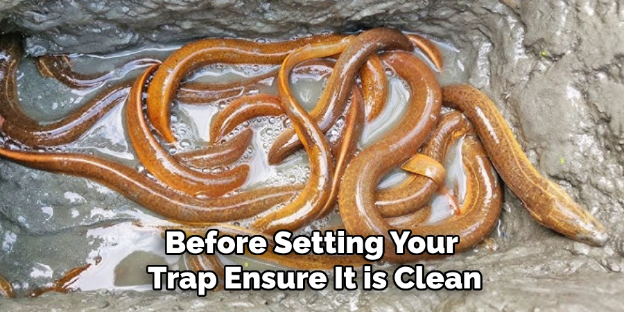 Before Setting Your Trap, Ensure It is Clean