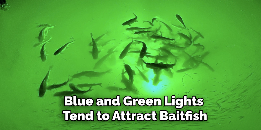 Blue and Green Lights Tend to Attract Baitfish