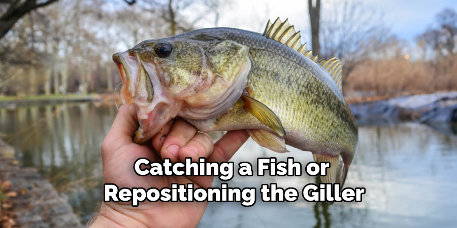 Catching a Fish or Repositioning the Giller