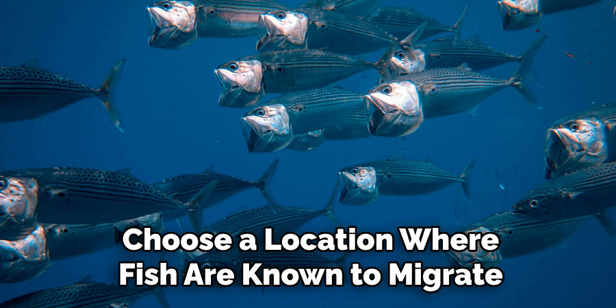 Choose a Location Where Fish Are Known to Migrate