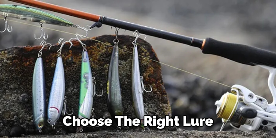  Choose the Right Lure