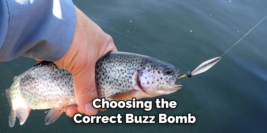 Choosing the correct Buzz Bomb