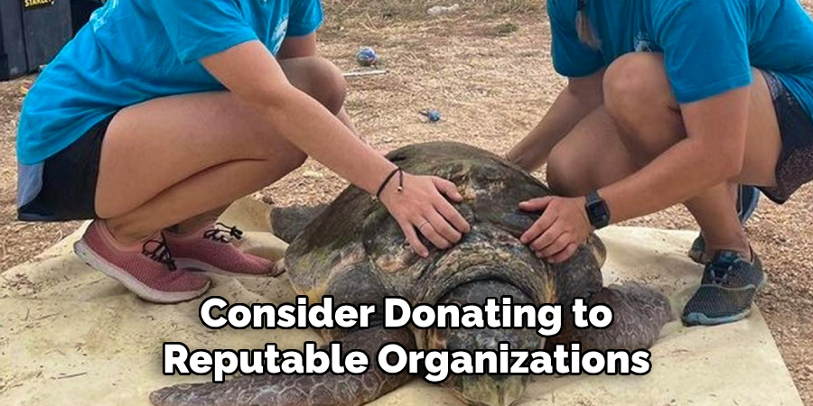 Consider donating to reputable organizations