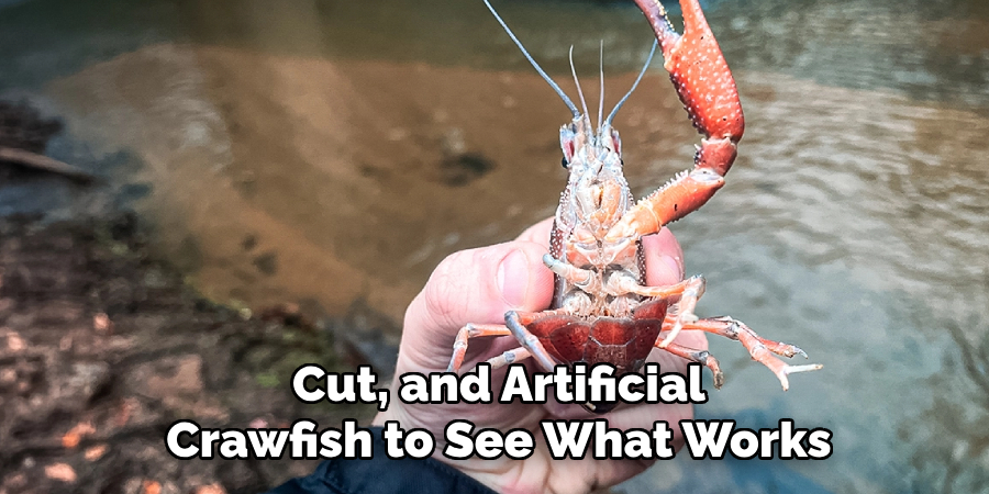 Cut, and Artificial Crawfish to See What Works