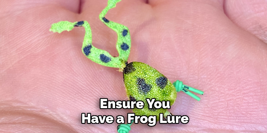 Ensure You Have a Frog Lure
