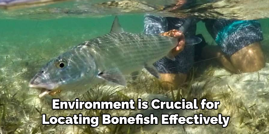 Environment is Crucial for Locating Bonefish Effectively