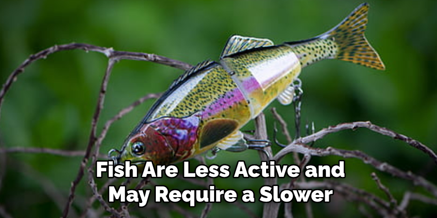 Fish Are Less Active and May Require a Slower