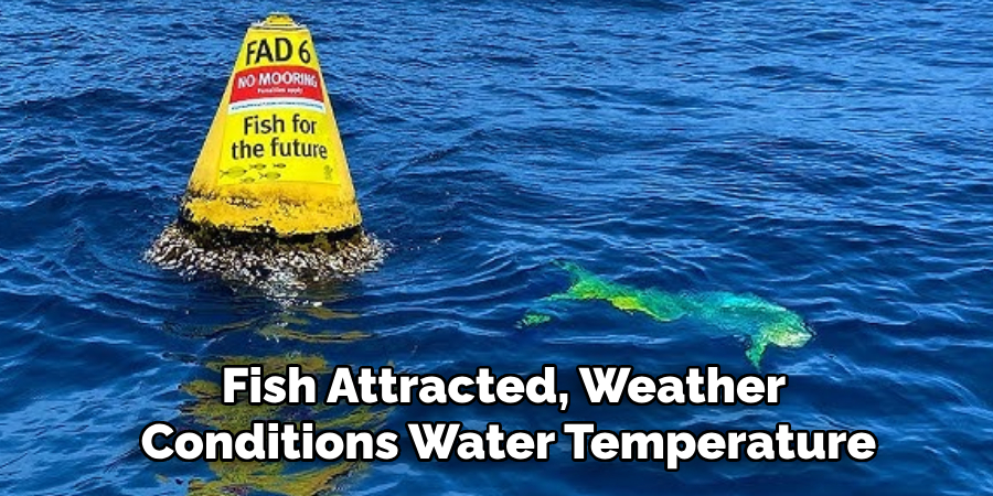 Fish Attracted, Weather Conditions, Water Temperature