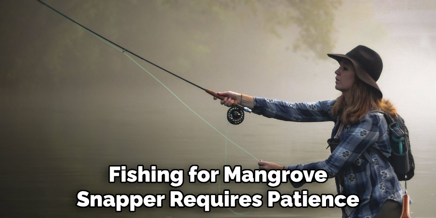 Fishing for Mangrove Snapper Requires Patience