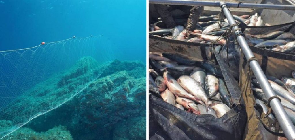How to Create a Gillnetting