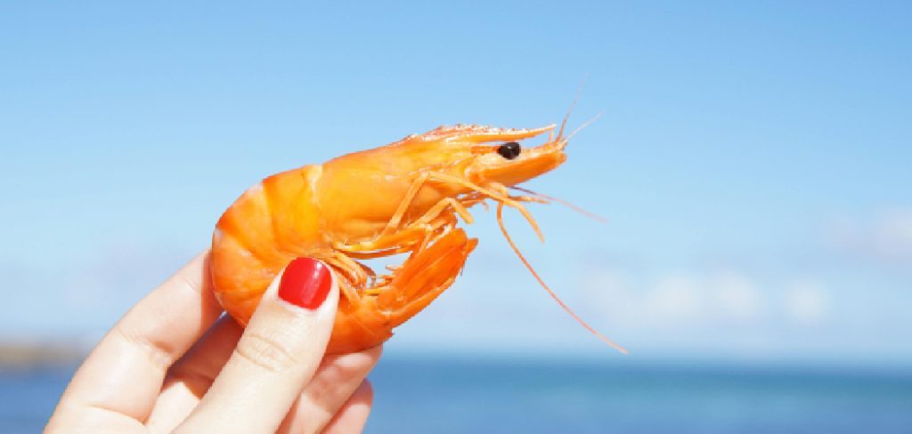 How to Fish Doa Shrimp
