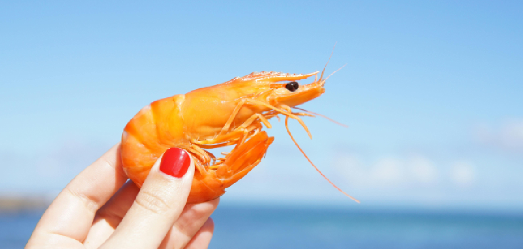 How to Fish Doa Shrimp