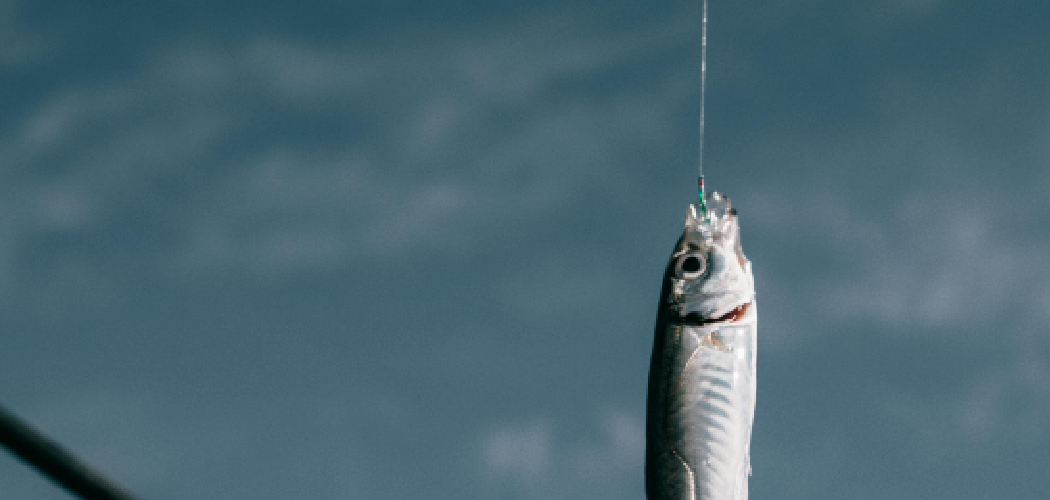 How to Rig a Shad