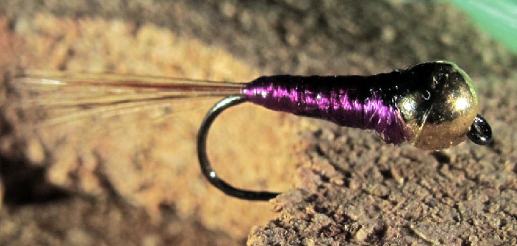 How to Tie a Perdigon Fly