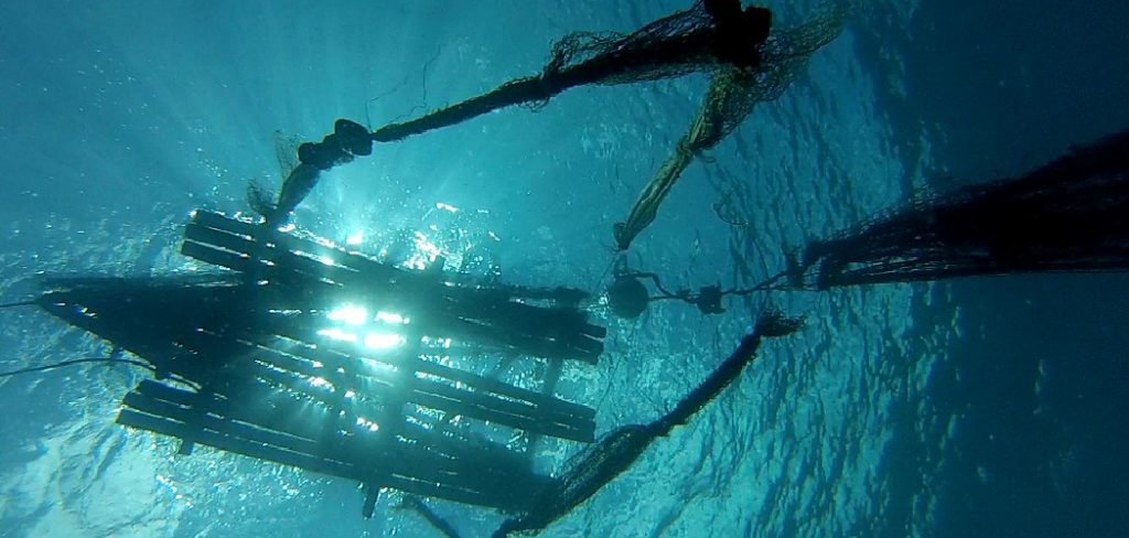 How to Use Fish Aggregating Device