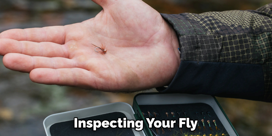 Inspecting Your Fly