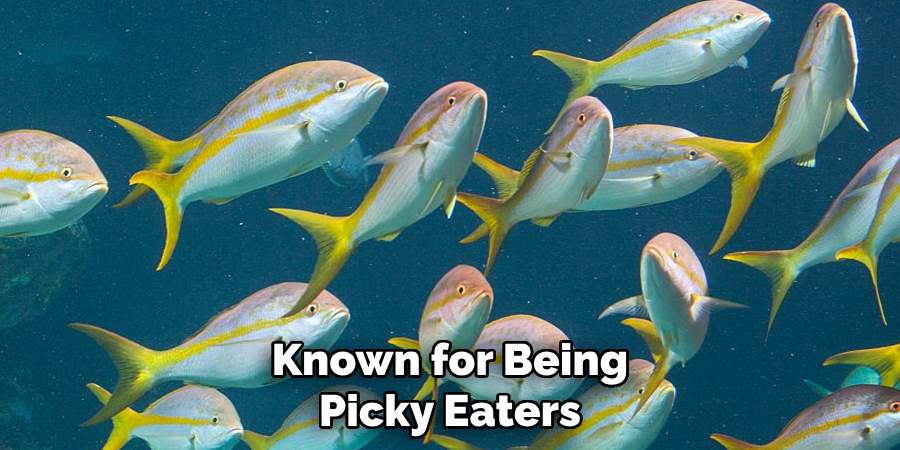 Known for Being Picky Eaters