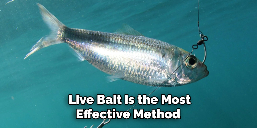 Live Bait is the Most
Effective Method