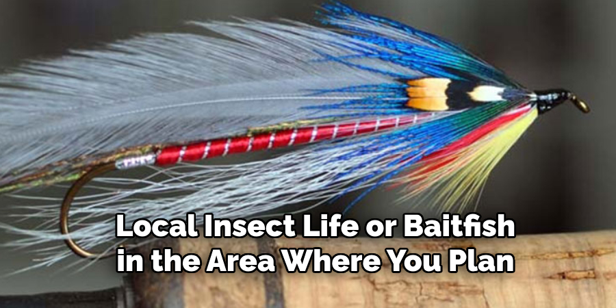 Local Insect Life or Baitfish in the Area Where You Plan